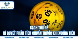 Bạch Thủ Đề Là Gì - Bí Quyết Phân Tích Chuẩn Trước Khi Xuống Tiền