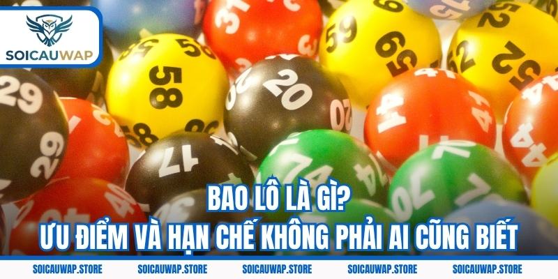 Bao Lô Là Gì? Ưu Điểm Và Hạn Chế Không Phải Ai Cũng Biết