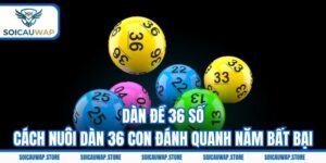 Dàn Đề 36 Số - Cách Nuôi Dàn 36 Con Đánh Quanh Năm Bất Bại