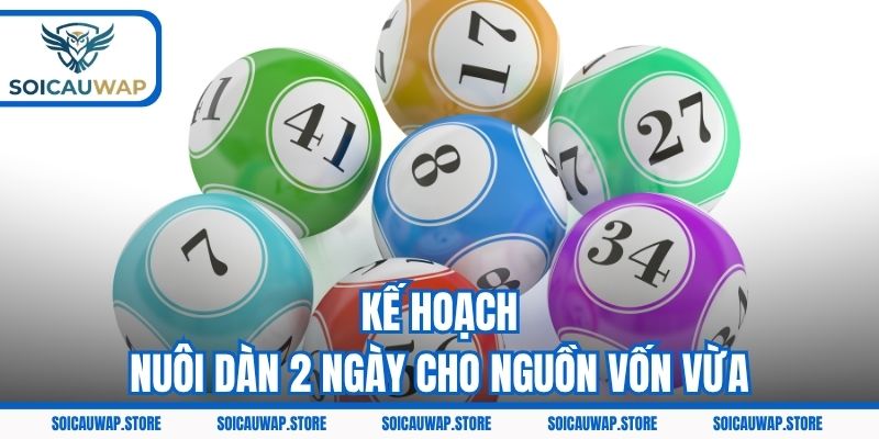 Kế hoạch nuôi dàn 2 ngày cho nguồn vốn vừa