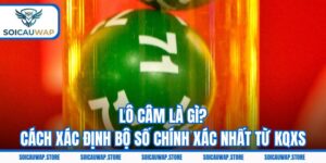 Lô Câm Là Gì? Cách Xác Định Bộ Số Chính Xác Nhất Từ KQXS