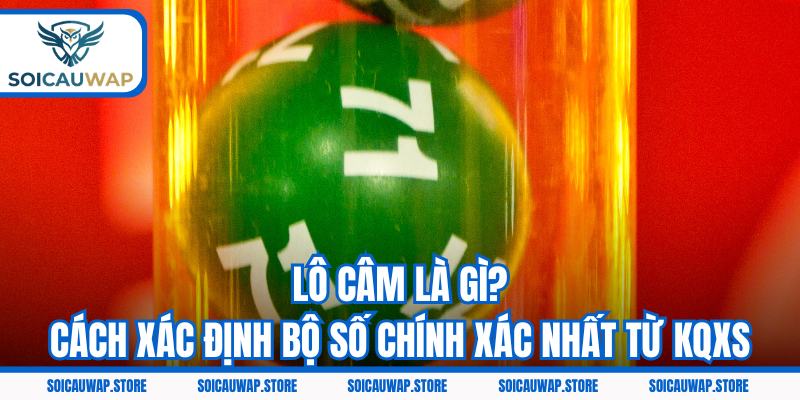 Lô Câm Là Gì? Cách Xác Định Bộ Số Chính Xác Nhất Từ KQXS