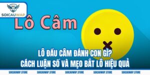 Lô Đầu Câm Đánh Con Gì? Cách Luận Số Và Mẹo Bắt Lô Hiệu Quả
