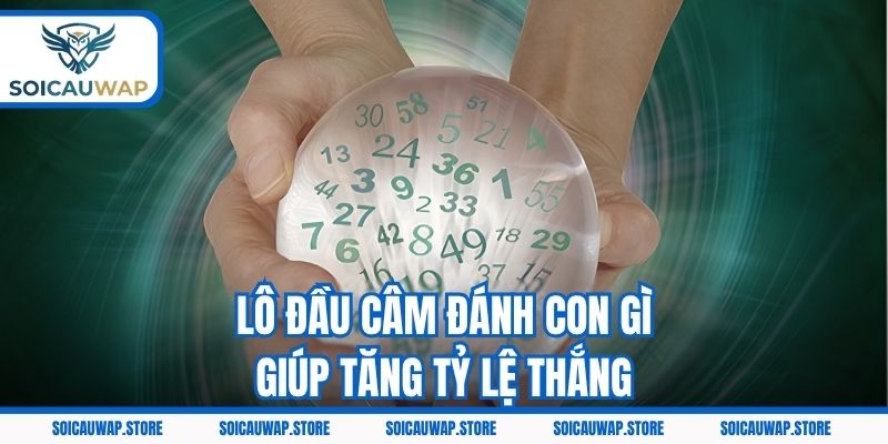Lô đầu câm đánh con gì giúp tăng tỷ lệ thắng