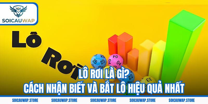Lô Rơi Là Gì? Cách Nhận Biết Và Bắt Lô Chuẩn Siêu Hiệu Quả