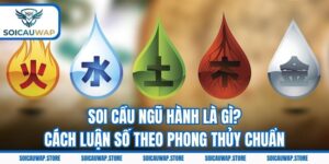 Soi Cầu Ngũ Hành Là Gì? Cách Luận Số Theo Phong Thủy Chuẩn