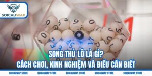 Song Thủ Lô Là Gì? Cách Chơi, Kinh Nghiệm Và Điều Cần Biết